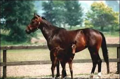 Pour changer de diagonale :