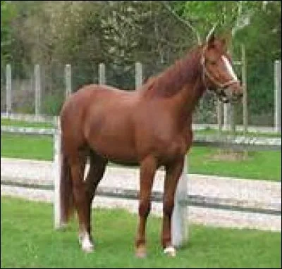 Une bonne assiette permet de :