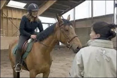 Que faut-il à un cheval pour lui faire plaisir ?