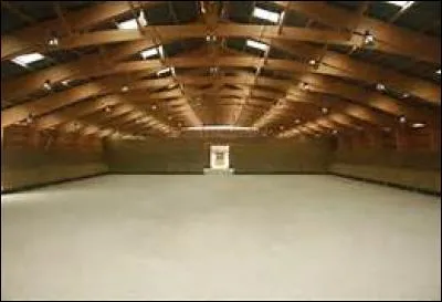 Il existe une discipline où l'on peut monter costumé.