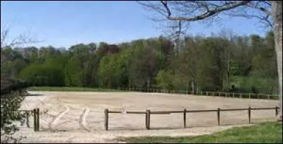 Les promenades peuvent se faire :