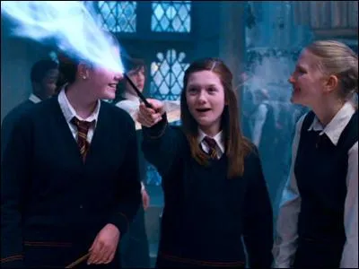 Quelle forme prend son patronus ?