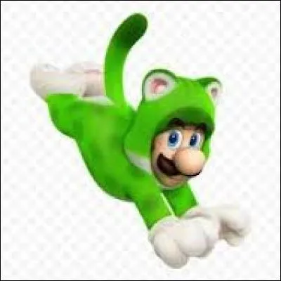 Dans quel jeu Mario peut-on se transformer en chat ?