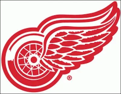 Quel sport les Red Wings de Detroit pratiquent-ils ?