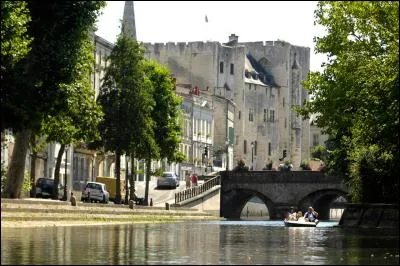 Quel est en nombre de salariés, le principal employeur de Niort ?