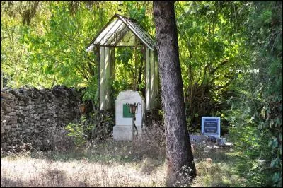 Dans le sud Deux-Sèvres vous pourrez voir de petits cimetières familiaux témoins de l'importance du protestantisme dans cette région, ils sont plantés parfois de cyprès, quel autre arbre y est aussi souvent présent ?