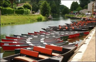 Quelle fermeture, une ordonnance de Louis XI, en 1475, occasionna-t-elle à Coulon ?