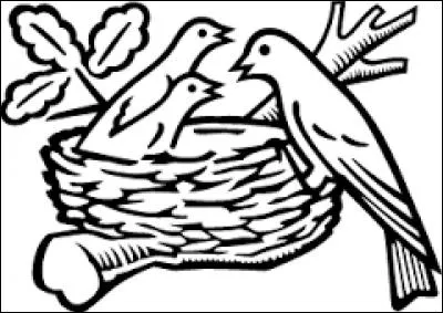 Quelle marque est représentée par un nid avec des oiseaux ?