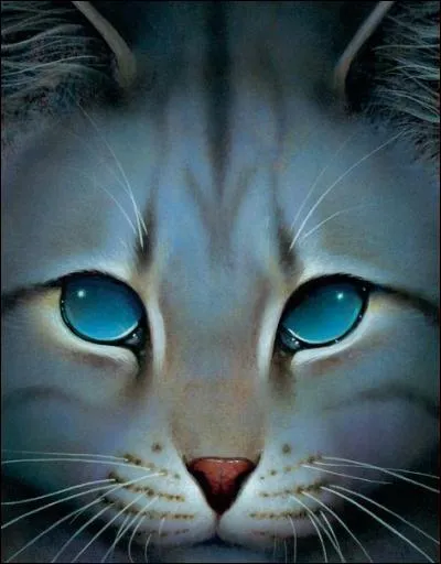 J'ai les yeux bleus mais je suis aveugle, mon pelage est gris tigré. Qui suis-je ?