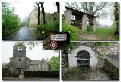 Peuplé de 78 habitants, Saint-Pierre-des-Tripiers est un village Lozérien situé en région ...