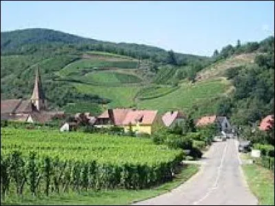 Je vous propose un petit tour sur la Route des Vins d'Alsace. Nous arrivons à Niedermorschwihr, village situé dans le département ...