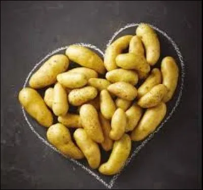 Cette pomme de terre est la plus petite variété de pomme de terre. Sa forme allongée lui vaut le surnom de « corne de bélier ». Alors qu'elle est cette variété ?