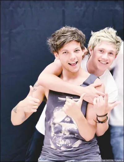 Quel est le nom de famille de Niall ?