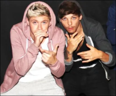 Quelle est la date de naissance de Niall Horan ?