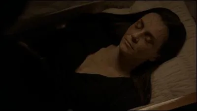 Damon a-t-il dit au revoir à Lily ?