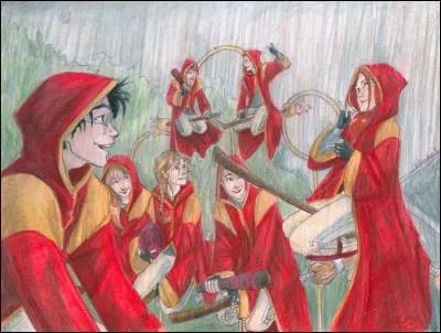 Dans le livre "Harry Potter et le Prince de sang-mêlé", qui Harry sélectionne-t-il pour faire partie de l'équipe de Quidditch de Gryffondor durant les sélections ?