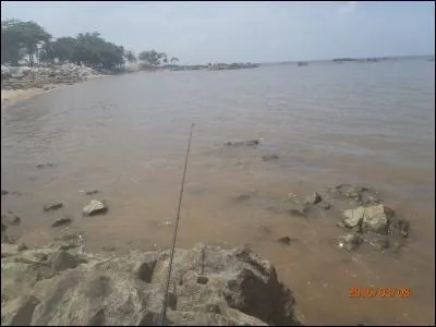 Qui chantait "Les filles du bord de mer" ?