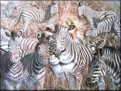 Que voyez-vous en grand nombre ?