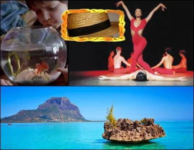 Le prénom suggéré est :