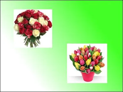 Petit tour à la jardinerie, notre acheteur achète un bouquet de roses à 21.09 ainsi qu'un bouquet de tulipes à 24.50. Combien cela fait-il ?