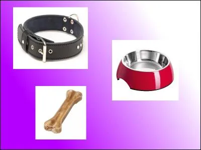 Pour le chien, il achète un collier à 14.65, une gamelle à 17.99 et pour finir un os à 3.30. Il restera...