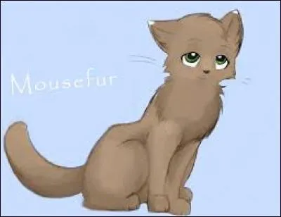 Qui ont été les deux apprentis de Poil de Souris ?