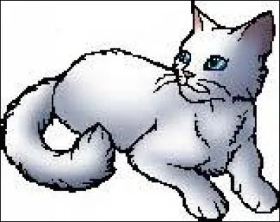 Qui était le mentor de Brume de Givre ?