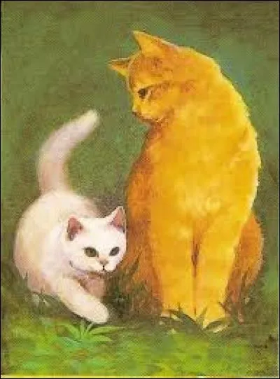 Pour quelle raison ce mentor a-t-il été choisi ?