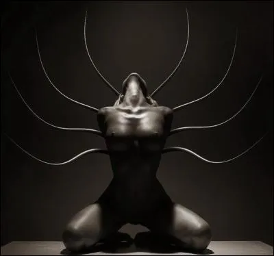 Quiconque regardait cette créature était immédiatement changé en pierre : qui est-elle ?