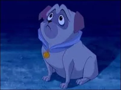 Cendrillon a perdu sa chaussure. Un petit chien, qui était avec Pocahontas, griffe sa porte et lui donne sa chaussure. Comment s'appelle-t-il ?