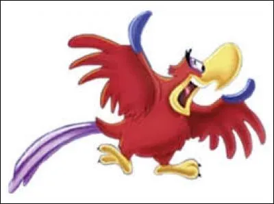 Belle est dans son château. Elle entend un bruit dans la grande salle. Elle arrive et voit un perroquet rouge chanter et voler partout. Qui est-il ?