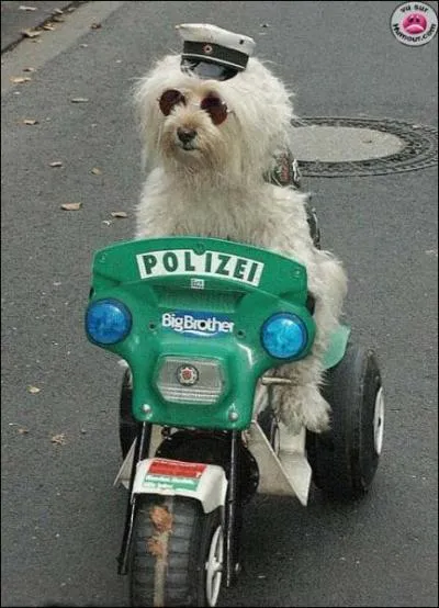 A quelle srie tlvise peut vous faire penser cette photo ?