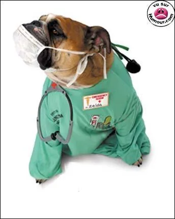 A quelle srie tlvise peut vous faire penser cette photo ?