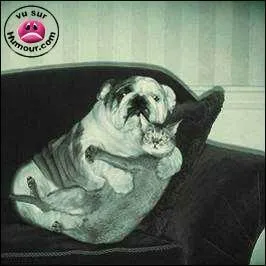 A quel film peut vous faire penser cette photo ?