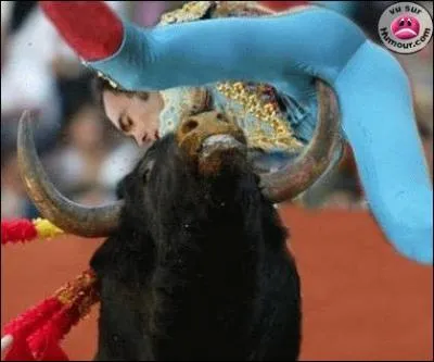 A quel film peut vous faire penser cette photo ?