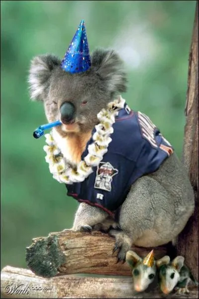 A quel film peut vous faire penser cette photo ?