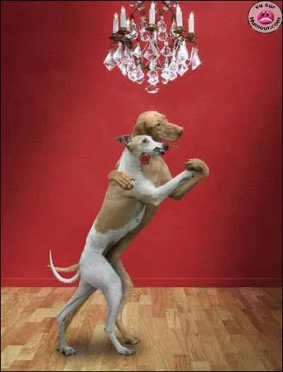 A quel film peut vous faire penser cette photo ?