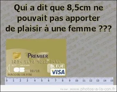 Quel dramaturge qui disait souvent le mot de Cambronne a écrit : "La réussite pour un homme, c'est d'être parvenu à gagner plus d'argent que sa femme n'a pu en dépenser" ?
