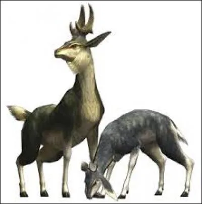 Comment se nomme ce monstre ?