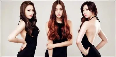 Un nouveau girlband a débarqué, les Mercury. Leurs noms sont Hyena, Sehee et :