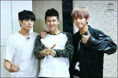 Un des membres de Bangtan Boys va commencer sa carrière en tant qu'acteur. Qui est-ce ? (nous sommes le 11 mars 2016)