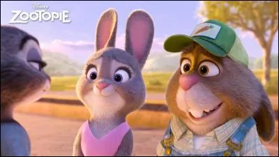 A part des carottes, que vendent les parents de Judy ?