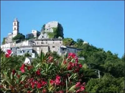 Je vous propose une petite virée en Corse, à Loreto-di-Casinca. Commune de l'arrondissement de Corte, elle se trouve dans le département ...