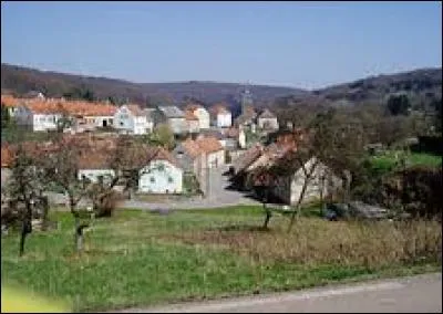 Nous partons en Lorraine, à Schorbach. Village du Pays de Bitche, il se situe dans le département ...