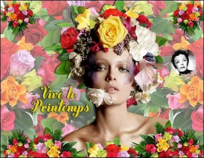 « Depuis le temps qu'on l'attend, comme une bombe, le voilà. Le voilà, le printemps, tout fleuri de lilas qui rapplique en dansant, en dansant la java. ». Par qui ces paroles ont-elles été chantées ?