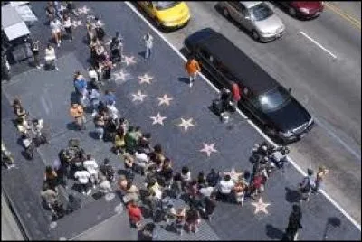 Les 2500 étoiles au nom des stars, incrustées sur le "walk of Fame"d'Hollywood sont de couleur... .
