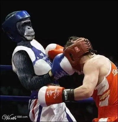 Quelle est cette discipline olympique ?