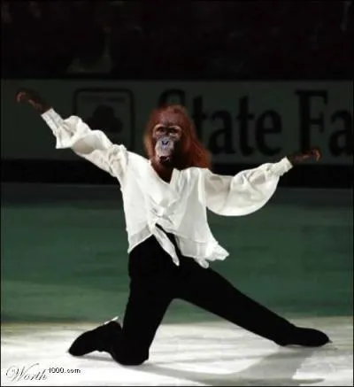 Quelle est cette discipline olympique ( Jeux d'Hiver) ?