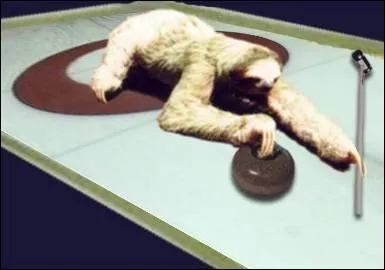 Quelle est cette discipline olympique ( Jeux d'Hiver) ?