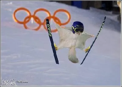 Quelle est cette discipline olympique (Jeux d'Hiver) ?